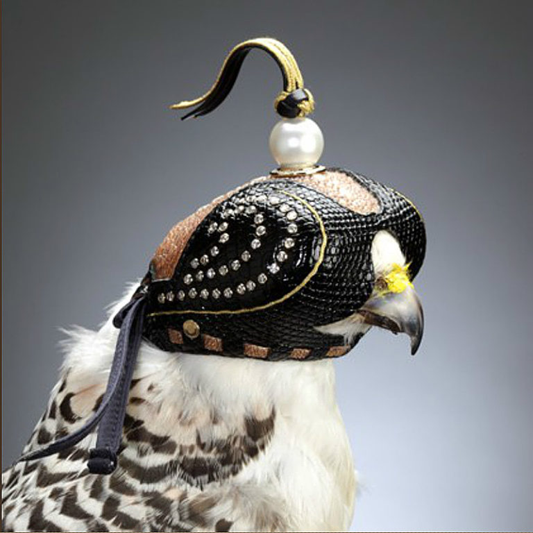 hawk hood diamond falcon hood 4 IIHIH – Don Shewey